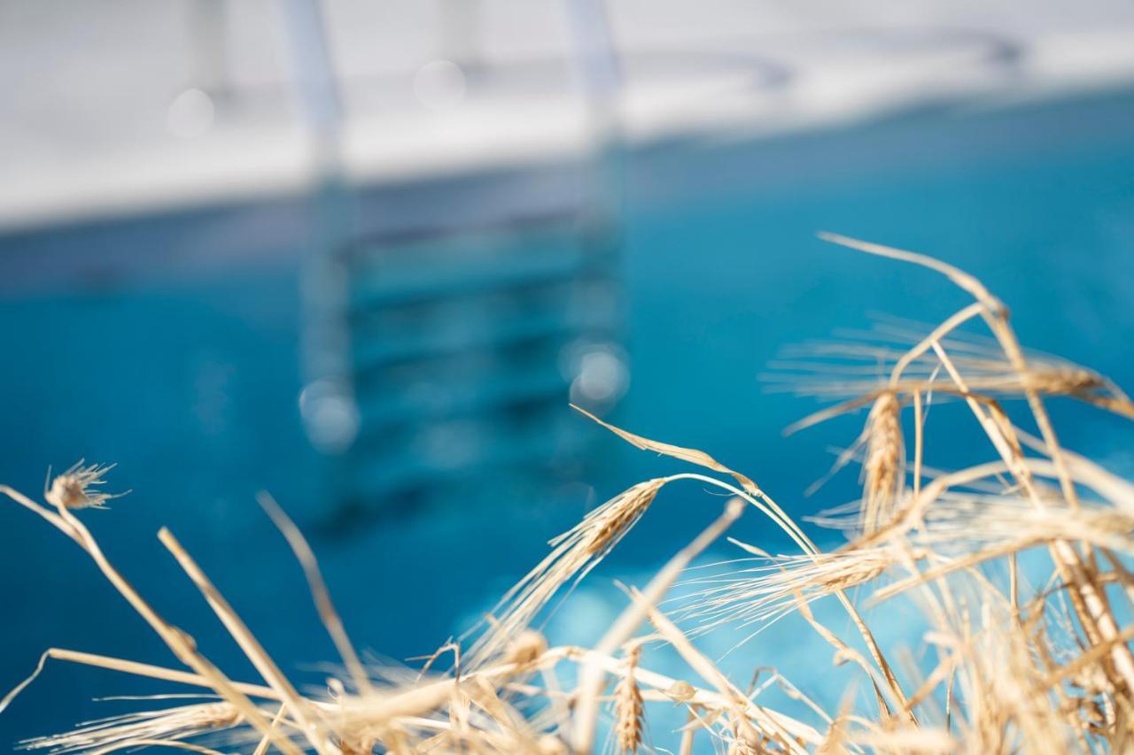 Santa Marina Syros Villa Liaropá Eksteriør bilde