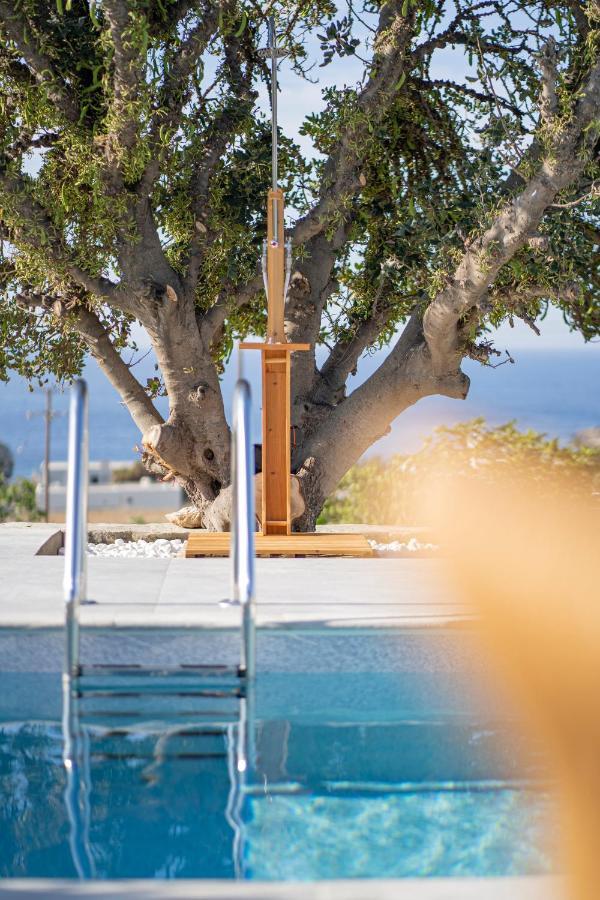 Santa Marina Syros Villa Liaropá Eksteriør bilde